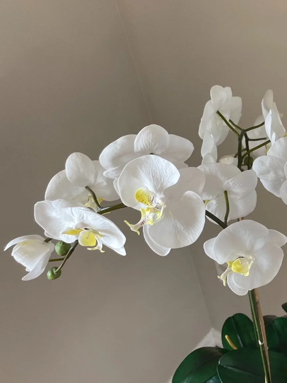 Artificial Orchid Real Touch Flower Arrangement Moss Decorative Gold Pot 32 x 14